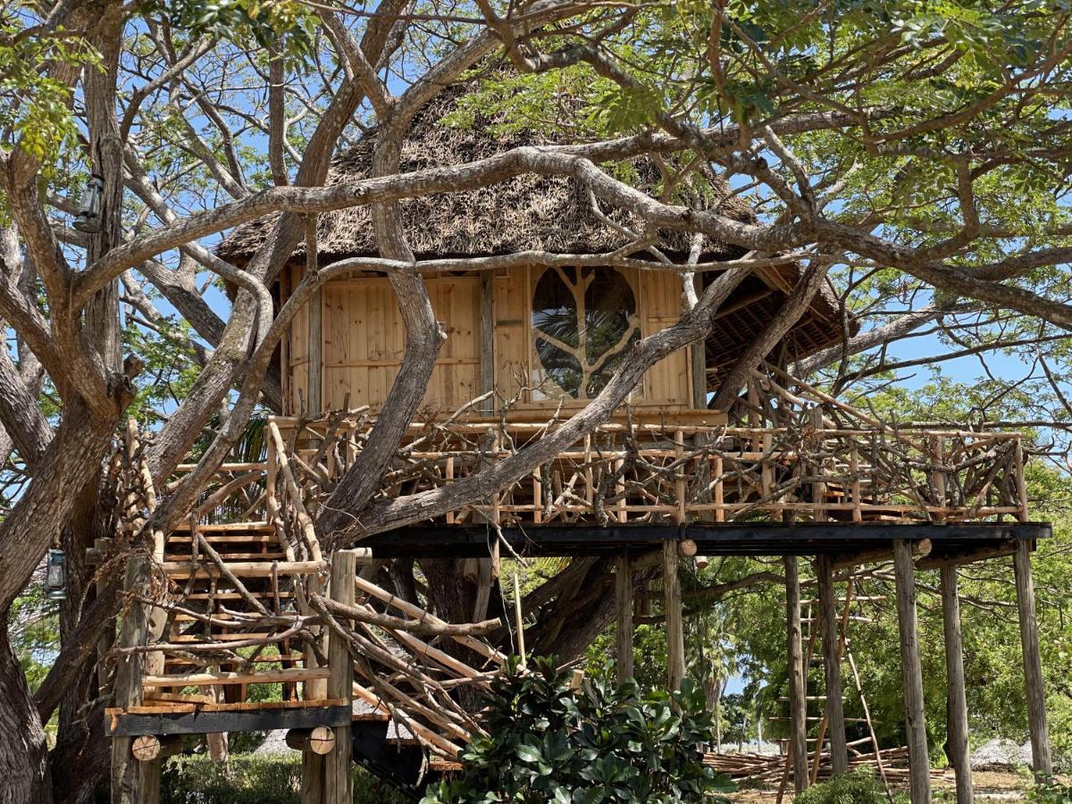 Antonio Beach Tree House Hotel & Spa Uroa Exterior foto